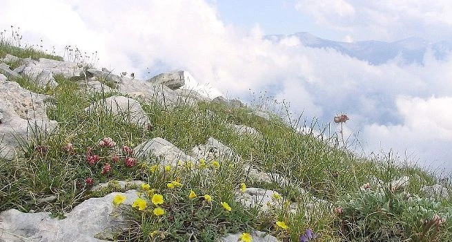 photo 3 – АИФОРОС БЪЛГАРИЯ ЕАД