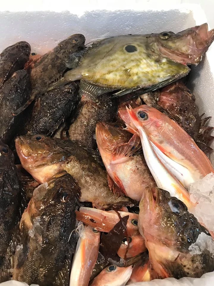 photo 3 – Balkan fish – Рибен пазар София
