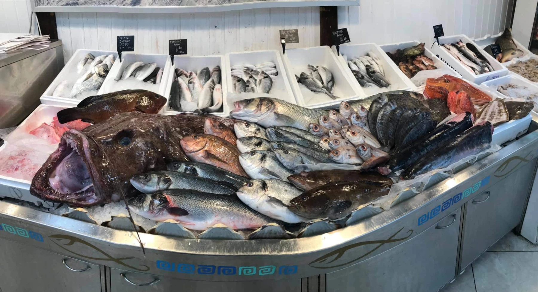 photo 4 – Balkan fish – Рибен пазар София