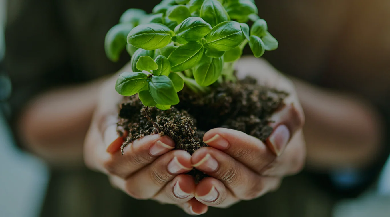 Екосейф ООД – EcoSafe – Управление на отпадъци София