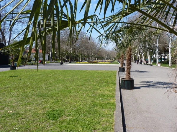 photo 2 – Гарден Франц