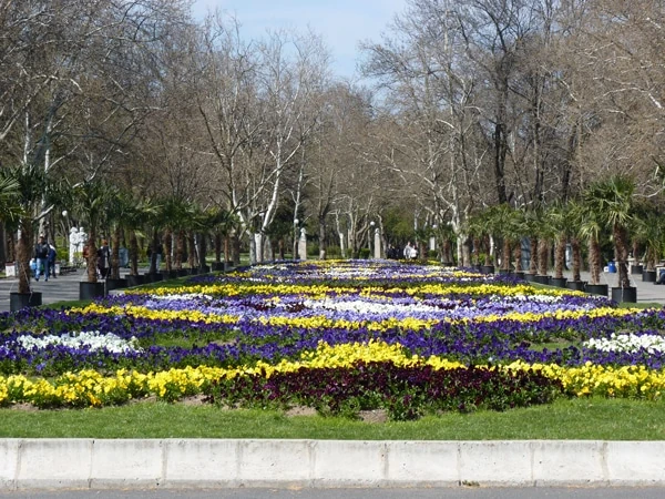 photo 3 – Гарден Франц