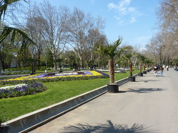 photo 4 – Гарден Франц