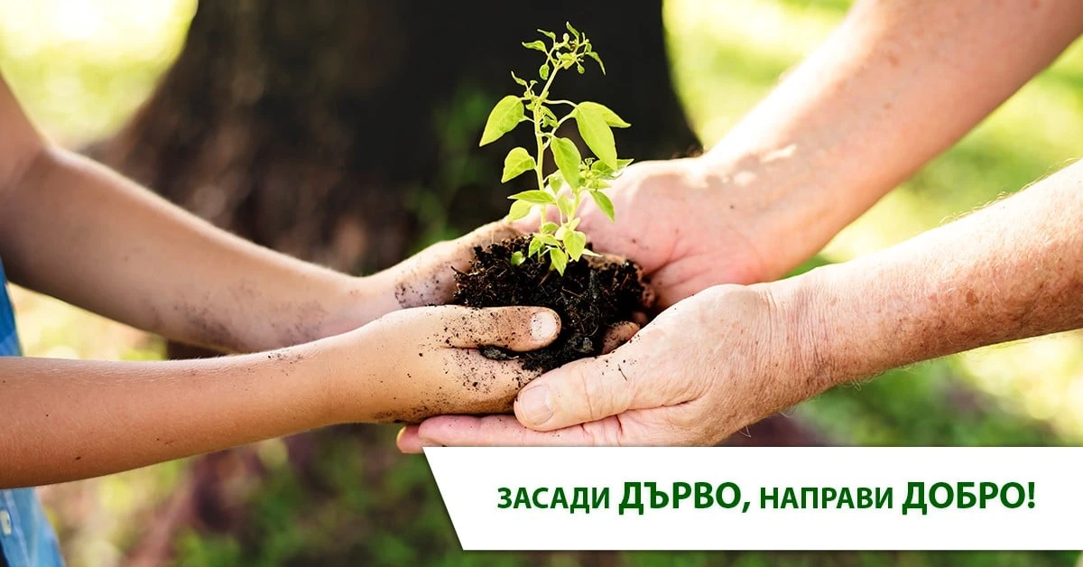 photo 3 – Нелсен Чистота – Нелсен Бургас – Nelsen Burgas