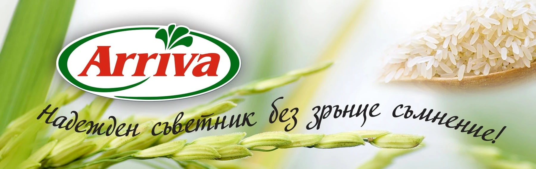 photo 2 – РАЙС ЛАНД ООД – RICELAND – Arriva